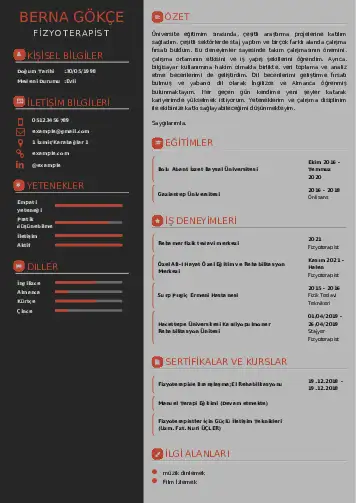 cv indir